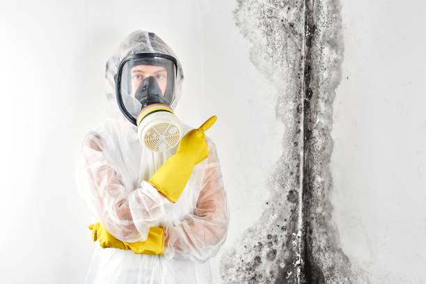 Best Ceiling water damage repair  in Jordan, MN